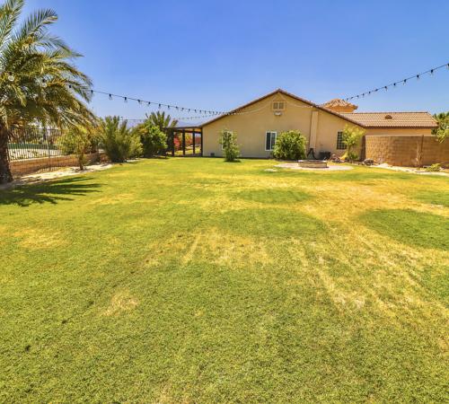 back-yard-pic
